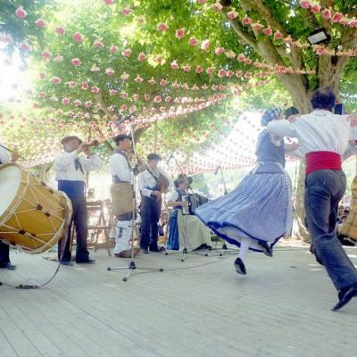 danses folkloriques